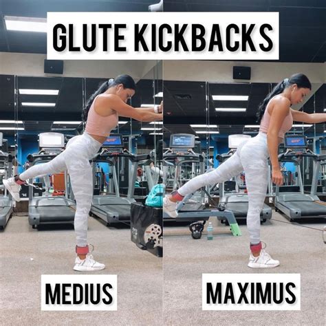 Single Extended Range Glute Max Kickback